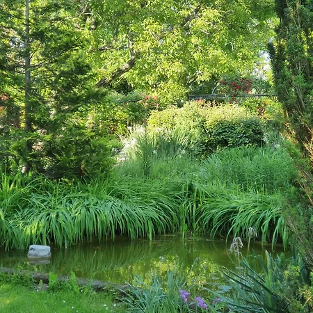 Le Terre Basse Panzió 3*