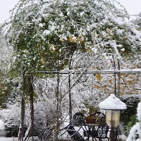 Le Terre Basse Bed & Breakfast *